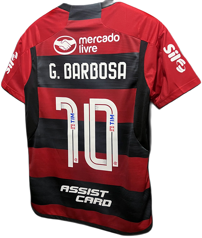 Camisa Flamengo 2023/24 - Versão Torcedor - Personalizada ( Masculino )