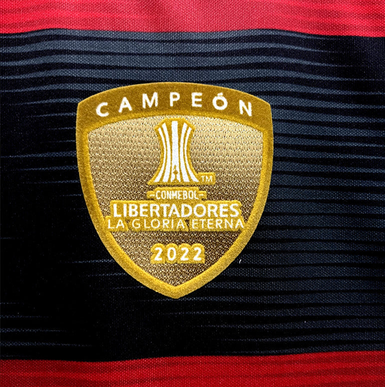 Camisa Flamengo 2023/24 - Versão Torcedor - Personalizada ( Masculino )